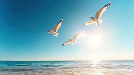 Fototapeta premium Three elegant seagulls soar gracefully over a serene ocean, bathed in the warm golden tones of a breathtaking sunset radiating pure tranquility and freedom.