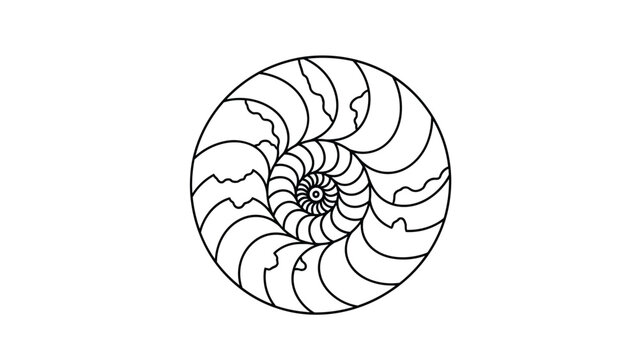 Intricate black and white spiral pattern illustration resembling a seashell or a geometric mandala with complex curving lines and shapes.