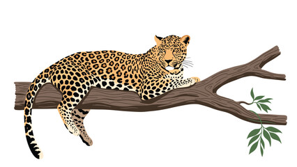 Fototapeta premium Majestic leopard resting peacefully on a thick tree branch with its spotted coat blending into the surroundings.