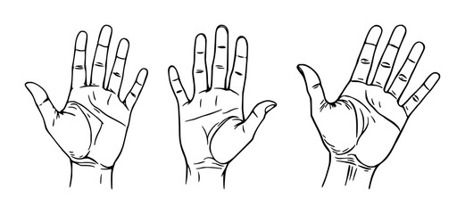 Fototapeta premium Black line art portrait of a palmistry hand with intricate lines, subtle shading on a crisp white background – perfect for fortune telling visuals.
