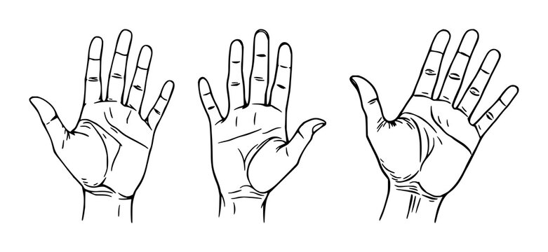 Black line art portrait of a palmistry hand with intricate lines, subtle shading on a crisp white background &ndash; perfect for fortune telling visuals.