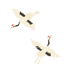Fototapeta premium Flying crane bird illustration set, japanese vintage style hand drawn design elements.