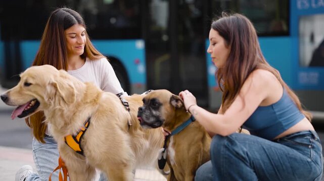 Two cheerful young women kneeling on a city sidewalk, affectionately petting and interacting with their friendly golden retriever and boxer dogs