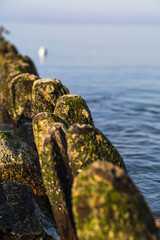 Fototapeta premium Mossy rocks forming a breakwater in the calm sea. Landscape with stony pier and seagull sitting on wooden post. Serene aquatic scenery for travel website and nature wallpaper design.