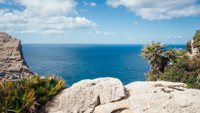 Rocher et mer sur le littoral de la mer m&eacute;diterran&eacute;e. Paysage de la c&ocirc;te m&eacute;diterran&eacute;enne. V&eacute;g&eacute;tation et nature &agrave; Majorque aux Bal&eacute;ares