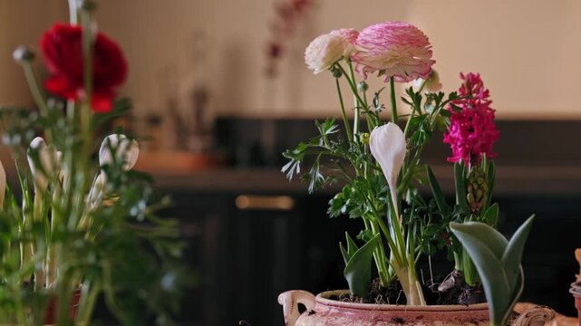 Woman Arranging Spring Flowers On Table Gardening And Floral Design Process
