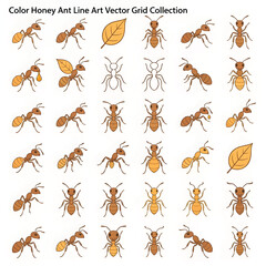 Colorful Boney Ant Illustration Isolated on White Background