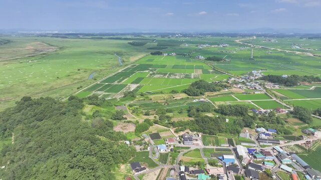 a midsummer rural landscape