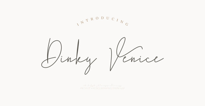 Dinky Venice, Luxury script alphabet letters font with tails. Typography elegant classic lettering serif fonts and number decorative vintage retro concept for logo branding. vector illustration
