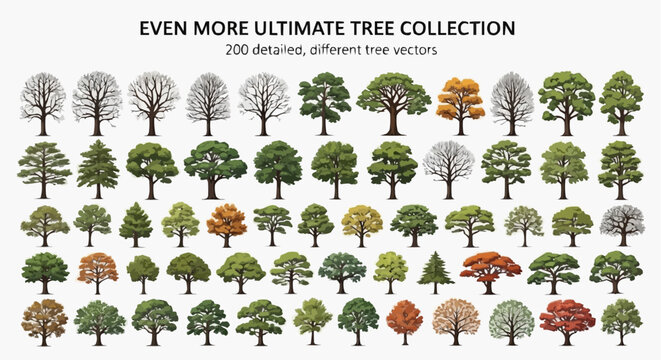 Ultimate Tree Collection: An expansive showcase of diverse tree illustrations. Detailed arboreal renderings offer a vast palette of species, styles, and seasonal transformations.