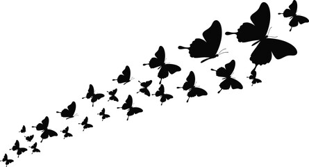 Butterfly swarm silhouette vector, flying butterflies pattern, nature insect illustration, spring garden wildlife, decorative butterfly design isolated, elegant butterfly flight © Nazmin