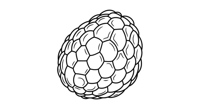 A black and white illustration of a buckminsterfullerene molecule.