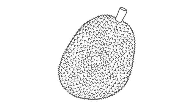 A detailed illustration of a fruit with a textured surface and stem attachment.