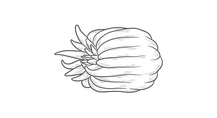 A simple black and white drawing of an onion with its top still attached.