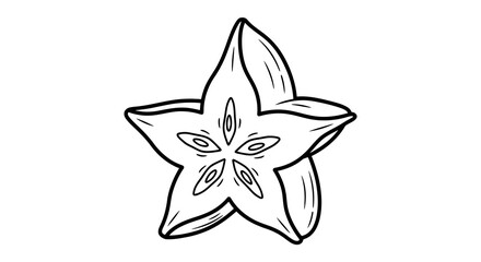 Fototapeta premium A simple line drawing of a starfruit slice with visible seeds and a pointed tip.