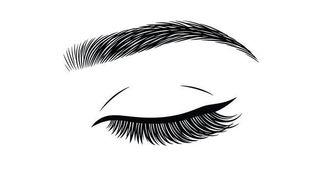Detailed illustration of a closed female eye with long thick eyelashes and a perfectly shaped eyebrow on a white background.