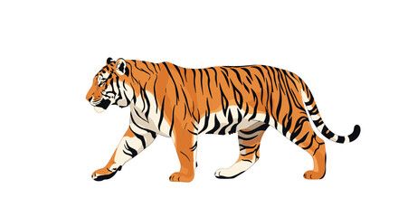 Obraz premium Detailed digital illustration of a majestic tiger walking slowly across a white background showing its orange and black striped fur.