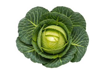 Obraz premium A green cabbage with yellow spots on a white background isolated on transparent background