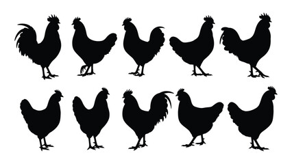 Black silhouettes of chickens and roosters © SILHUETTECHEMBER