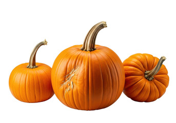 Obraz premium Three vibrant orange, deeply textured pumpkins arranged on a seamless transparent background under diffused studio light, showcasing natural harvest abundance. Concept of autumn celebration