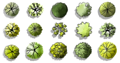Obraz premium Vector set of Top view green tree for outdoor plan or map and architecture drawing, elements for environment and garden ,botanical elements ,Blooming flowers in spring,tropical plants element