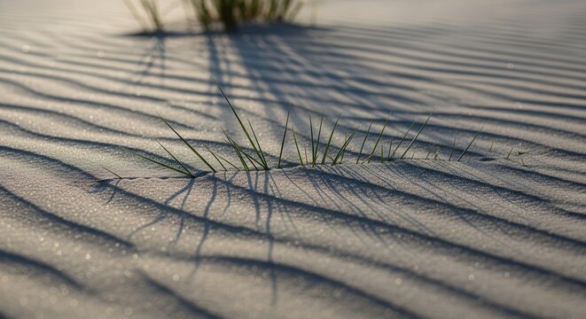 Close-up of Sand Dunes with Grass Growing and Shadows on the Surface