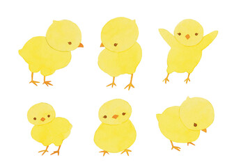 お散歩ひよこ © Atelier maimai