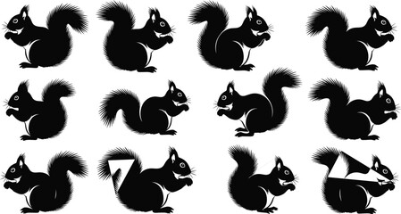 Black squirrel silhouette vector set with various poses, squirrel sitting and eating nuts, forest animal icons isolated on white background.