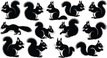 Squirrel silhouettes collection, cute forest rodent poses, black animal shapes set, wildlife clipart illustration, woodland nature design, isolated vector