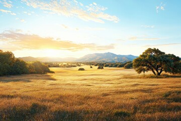 Obraz premium Golden Wheat Field at Sunset with Majestic Oak Tree and Distant Mountains
