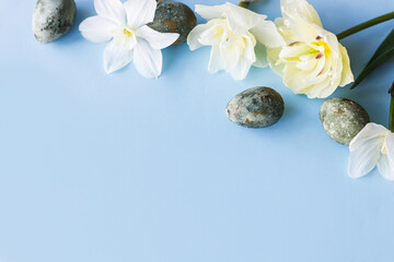 Easter flat lay. Stylish easter eggs and yellow daffodils and tulip flowers on blue background. Easter celebration, season greetings mockup. Spring modern floral banner © sonyachny
