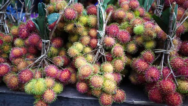Rambutan (Nephelium lappaceum) is a medium-sized tropical tree in the family Sapindaceae. The name also refers to the edible fruit produced by this tree. The rambutan is native to Southeast Asia.