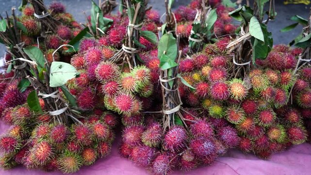 Rambutan (Nephelium lappaceum) is a medium-sized tropical tree in the family Sapindaceae. The name also refers to the edible fruit produced by this tree. The rambutan is native to Southeast Asia.