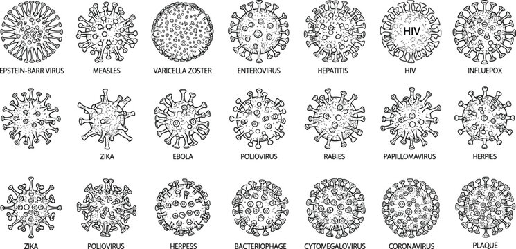 Black and white illustration of various viruses including HIV, Ebola, Zika, Coronavirus, Rabies, Polio, and bacteriophage structures