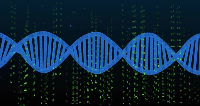 Stylized blue DNA helix moving horizontally in flat design, with falling green binary code streams