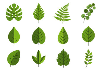A flat design illustration vector featuring a diverse collection of green leaves in various shapes and sizes against a clean white background.