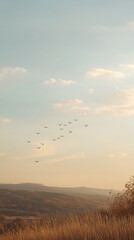 A small flock of birds flies across an open sky above distant hills and dry golden grass
