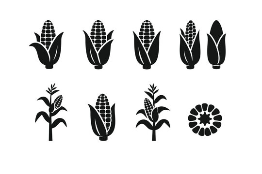 A vintage nature illustration featuring a seamless vector set of corn plants and trees designed with elegant line art, pen sketches, and decorative leaf patterns in a silhouette style