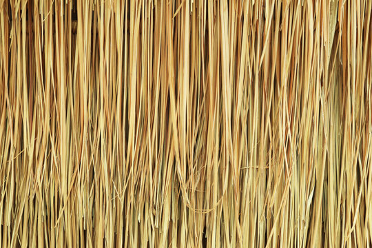 Beautiful wall surface made of dried leaves 