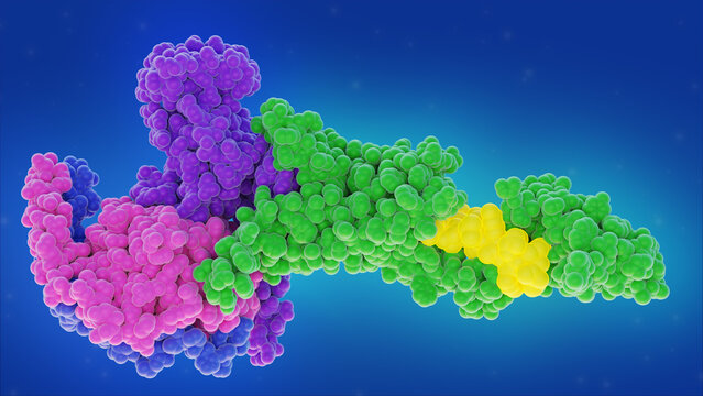 Glucagon-like peptide-1 receptor (GLP-1R) complex, representing the molecular target for Tirzepatide and other GLP-1 agonists. Detailed view of the binding site with small-molecule agonist. 3D render