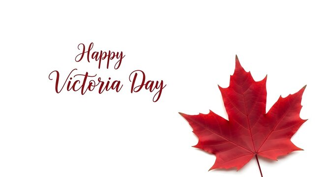 Happy victoria day with a red maple leaf