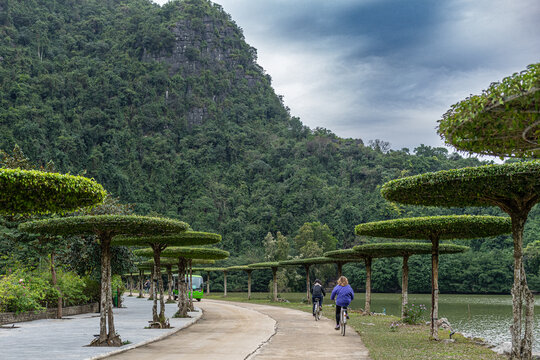 Tourists cycling on a path alongside a tranquil lake with unique shaped trees and a limestone mountain