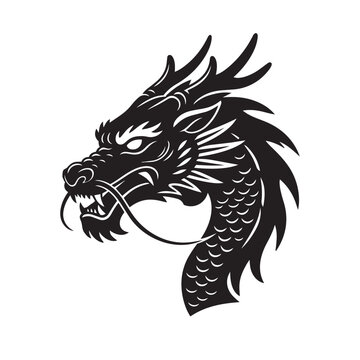 Dragon Portrait Illustration on Isolated Background