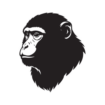 Monkey Portrait Illustration on Isolated Background