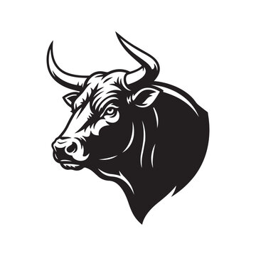 Bull Portrait Illustration on Isolated Background