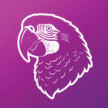 Parrot Portrait Illustration with White Outline on Purple Background