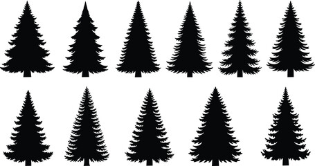 Vector collection of black pine tree silhouettes and evergreen coniferous forest fir trees isolated on white background for nature landscape and christmas holiday design © Itz  Parvin