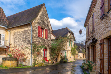 Fototapeta premium France, Dordogne, beautiful houses in Saint-Léon-sur-Vézère. One of the most beautiful villages of france.