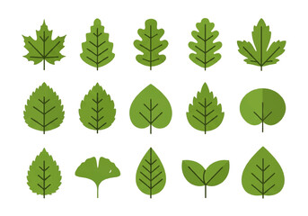 A flat design illustration vector featuring twelve different green leaves with black outlines on a white background.