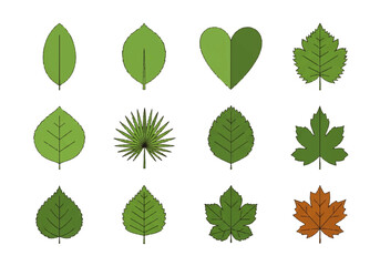 A flat design illustration vector featuring twelve different green leaves with black outlines on a white background.